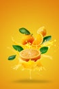 Orange juice splashing on Fresh Sliced Ã¢â¬â¹Ã¢â¬â¹oranges and Orange fruit isolated over Orange background Royalty Free Stock Photo